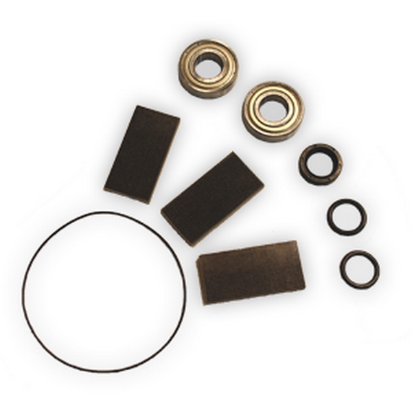 Vacuum Pump Rebuild Kit